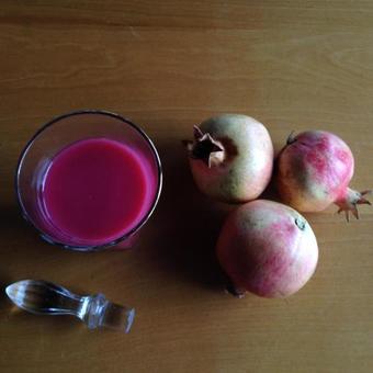 Agroturismo Azienda Agricola Il Querceto