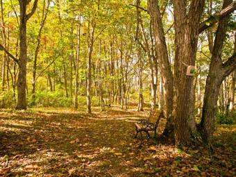 Hotel Appi Hills Shirakabanomori