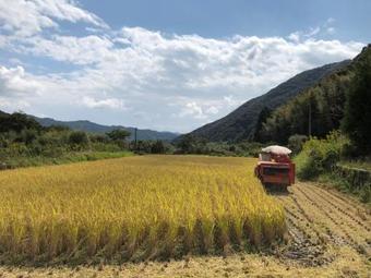 Apartamento Shimanto Riverside Hideaway