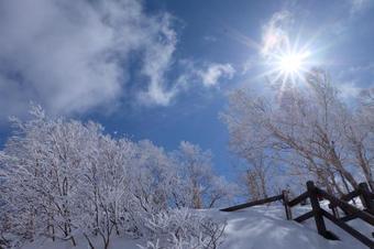 Bed & Breakfast Appikogen Pension Mutti