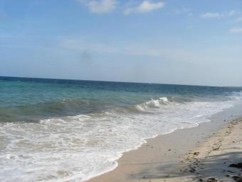 Coast Sun Gardens Cottage