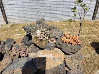 Apartamento Jeju Hill Tower Pension