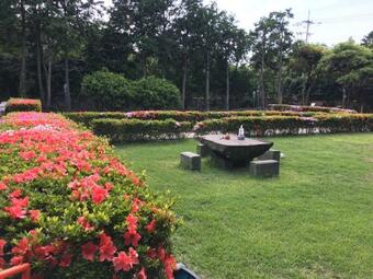 ???? ? Meditators' House