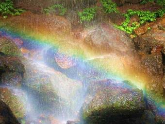 Bed & Breakfast Havan's Ecotourist Retreat