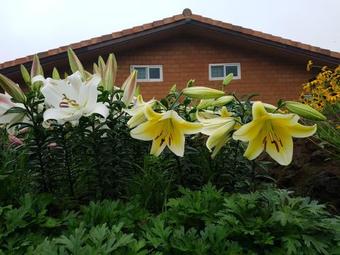 Jeju Healing Resort