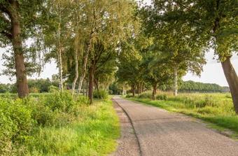 Bed & Breakfast Bed In Brabant Veghel