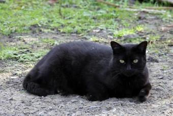 Agroturismo Dragonfly Farm