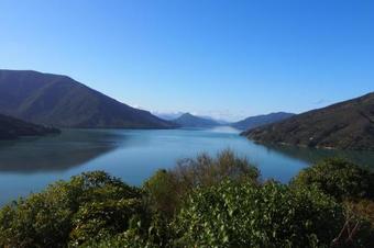 Linkwater Motel And Backpackers