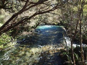 Albergue Annies Nirvana Lodge, Golden Bay Yha