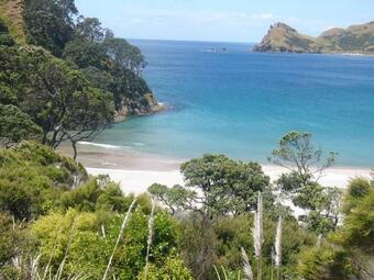 Bed & Breakfast Medlands Beach Lodge