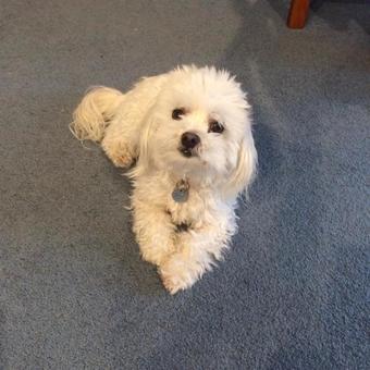 Hotel Noah's Boutique Accommodation Moeraki