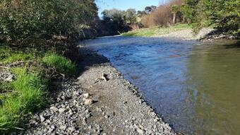 Lammermoor Bed & Breakfast