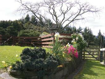 Totara Valley Bed & Breakfast