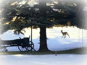 Hotel Restauracja Parkowa - Noclegi