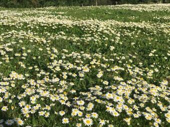 Agroturismo Monte Das Texugueiras