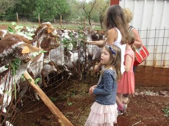 Agroturismo Casa Da Tita