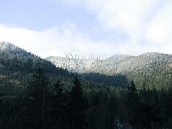 Hostal Villa Atriolum