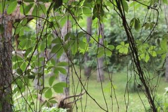 Hostal Vila Dunavski Raj