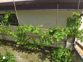 Hostal Guest House Poseidon