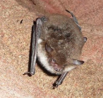 Hostal Dom Turista - Sablino