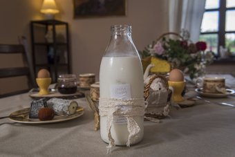 Hostal Dream Village