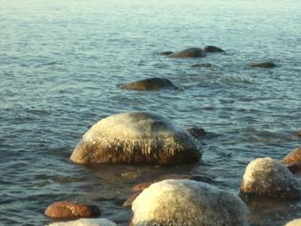 Agroturismo Holiday Home On Lugovaya