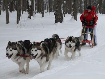 Hotel Grumant Resort & Spa