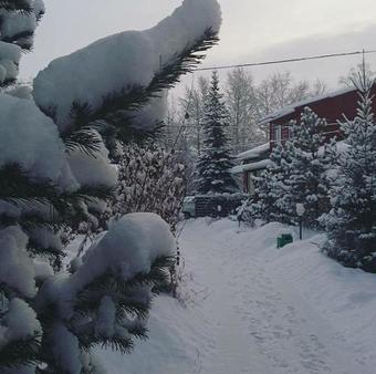 ???????? ??????????????? ??????? "????????"