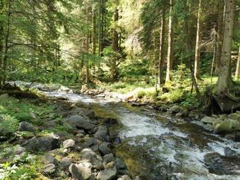 Apartments Rogla Lukanja 1