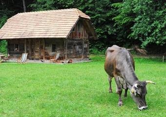 Agroturismo Turisti?na Kmetija ?eruga