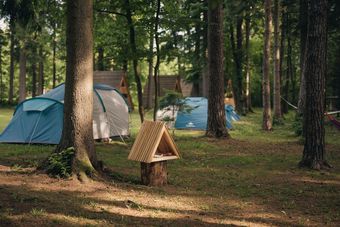 Forest Camping Mozirje