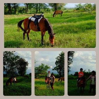 Hotel Phukumhom Khao Yai