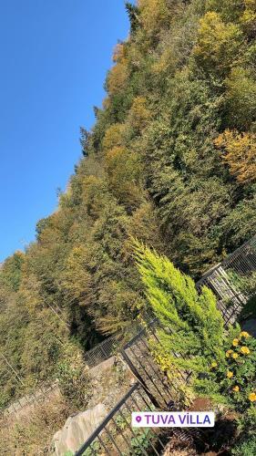 Villa Tuva V?lla's