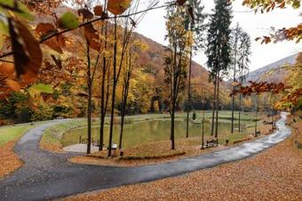 Hotel Voevodyno Resort