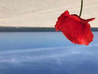 Posada Baza Otdyha Primor'e