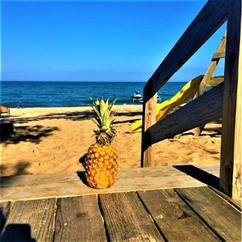 Hotel Gold Coast Family Cottages