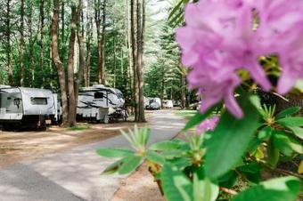 Wild Duck Campground
