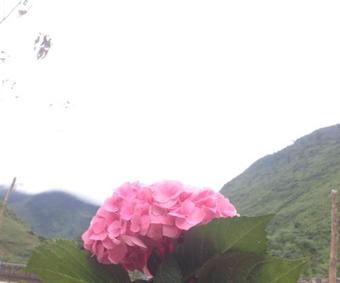 Motel ?i?m D?ng Ch�n C�n T?