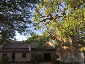 Bed & Breakfast Baobab Lane Lodge
