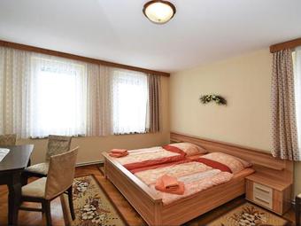 Lovely Apartment Near Ski Area In Tannenbergsthal