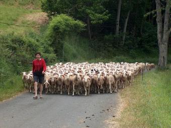Cozy Cottage In Roquecor With Private Pool