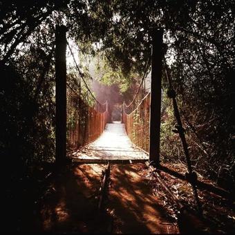 Swastha Plantation Homestay