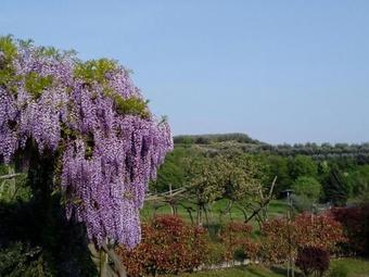 Luxurious Holiday Home In Tacconi With Private Garden