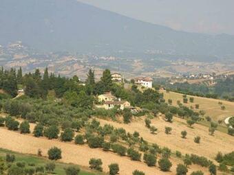 Bed & Breakfast Piccola Terra Country House & Pool