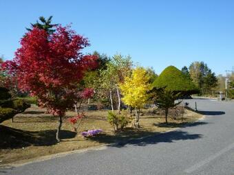 Natural Hot Spring Hounomai Otofuke