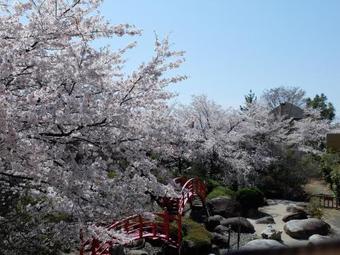 Hotel Kaminoyu Onsen