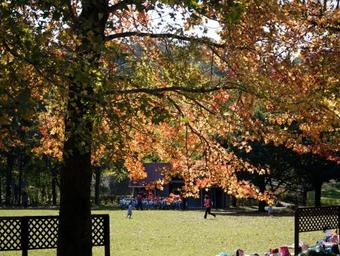 Apa Hotel Miyazaki Nobeoka Ekimae