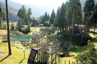 Lodge Woody Pal Yogo