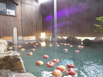 Tabino Hotel Hida Takayama