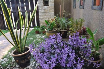 Garden Vacation Suite